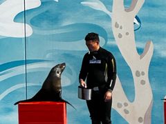 -北戴河圣蓝海洋公园