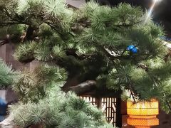 -绿茶餐厅(财富购物中心店)