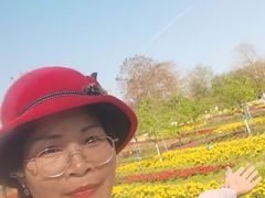 -天适樱花悠乐园