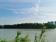-澹台湖公园