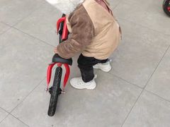 -八爪矩阵极限运动馆·儿童平衡车·感统训练(南海子公园校区)