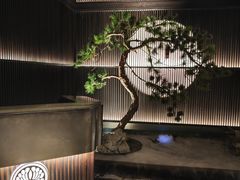 -大拙里·精致融合菜(沙湖桃源国际店)