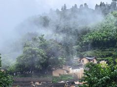 -杨家堂村