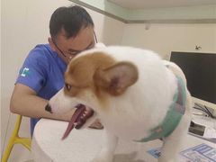 -佳雯宠物医院·皮肤科·内外科(春晓路分院)