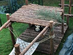 -大连森林动物园