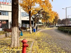 -明故宫遗址公园