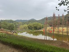 -国恩寺