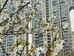 -西北湖绿化广场