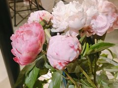 -GOTLOT COFFEE&KITCHEN角落厨房NOOK店