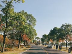 -漕湖湿地公园