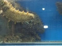 -老码头海鲜烧烤炒菜(广西路店)
