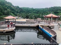 -广东惠东海龟国家级自然保护区