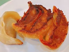 鲜肉锅贴-白玉兰小吃(新村路店)