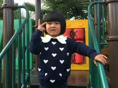 -蘑统田下·野生菌火锅