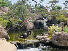 -罗红摄影艺术馆