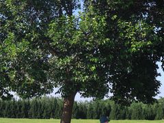 -汉长安城未央宫国家考古遗址公园