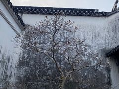 -耦园