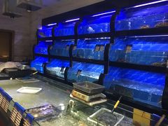 水产区-骏莱海鲜鱼港(五角场店)