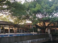 -喜洲吧·江畔老船厂·庭院餐厅(喜临院店)