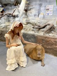 -Zoolung Zoolung动物主题公园(海信广场店)