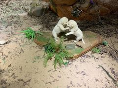 -陕西自然博物馆