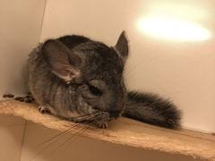 -龙猫仔乐园(惠福东路店)