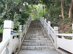 -红花山公园