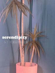 -Lily纤美·科技减脂中心