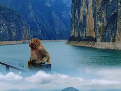 -白帝城·瞿塘峡景区