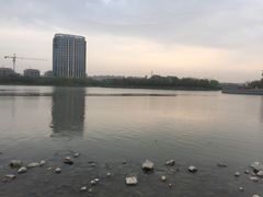 -南翔镇银翔湖公园