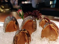 手工冰镇鲍鱼-木棉·醉心粤味(COCO Park店)