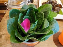 菠菜-刘一锅筋头巴脑(小北店)