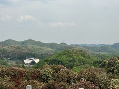 -贵州百里杜鹃风景名胜区