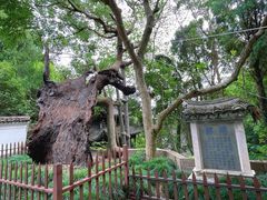 -台州府城(江南长城)