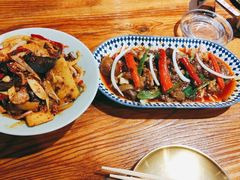 -柴窝堡22号辣子鸡·传承新疆菜