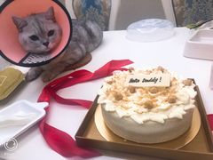 -布歌东京(常州购物中心店)