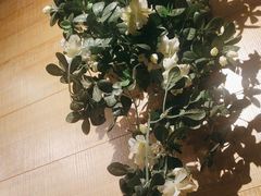 -云尊府云南菜·蒸汽石锅鱼(学清路店)