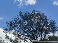 -丁来兴酒店(西街店)