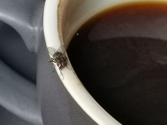 -猩世界 | COFFEE BAR(苏宁广场店)