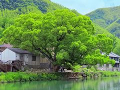 -四明山国家森林公园