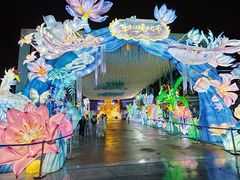 -海合安成都极地海洋公园