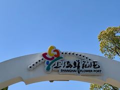 -上海鲜花港