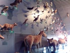 -中国湿地博物馆