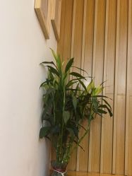 -宥莉·ULLY 痘敏肌•科技皮肤管理中心