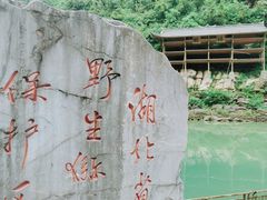 -狮子关旅游区