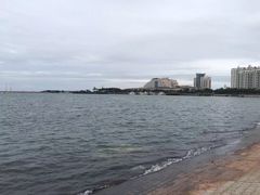 -日照海滨国家森林公园