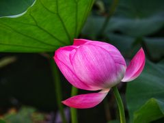 -新江湾城公园