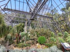 -深圳仙湖植物园