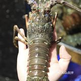 海鲜大餐首选这家啦！❤️❤️❤️
