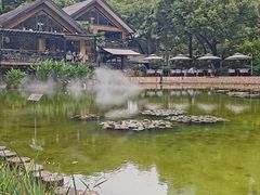 -静安公园(静安寺街道)